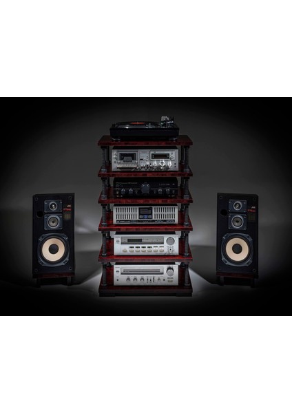 Ayarlanabilir Raflı Plak ve Pikap Standı - Hifi Stereo Kabin - Şık ve Işlevsel Ses Sistemi Rafı-3