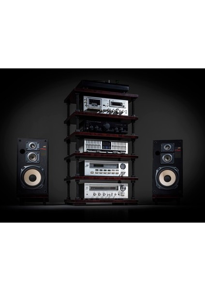 Ayarlanabilir Raflı Plak ve Pikap Standı - Hifi Stereo Kabin - Şık ve Işlevsel Ses Sistemi Rafı-3