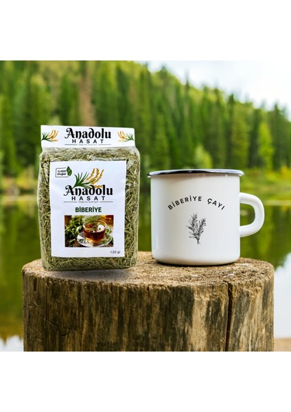 Biberiye Otu Çayı 500GR, Elenmiş , Taze