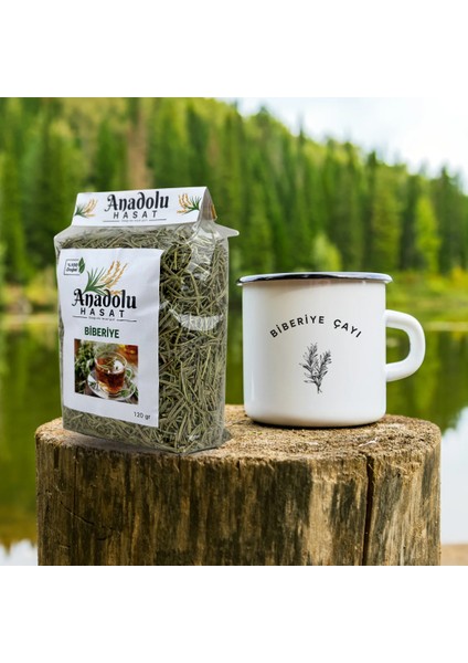 Biberiye Otu Çayı 500GR, Elenmiş , Taze fiyatları