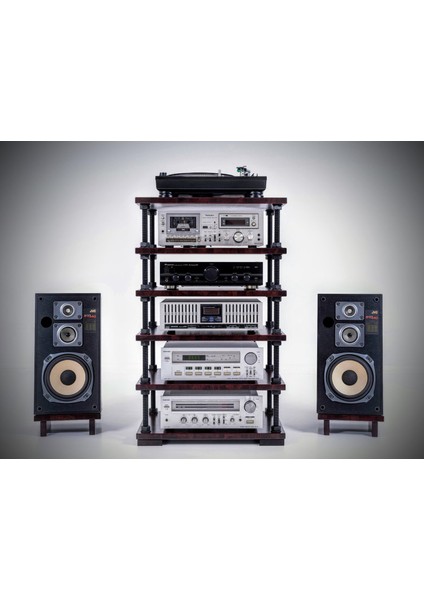 Ayarlanabilir Raflı Plak ve Pikap Standı - Hifi Stereo Kabin - Şık ve Işlevsel Ses Sistemi Rafı