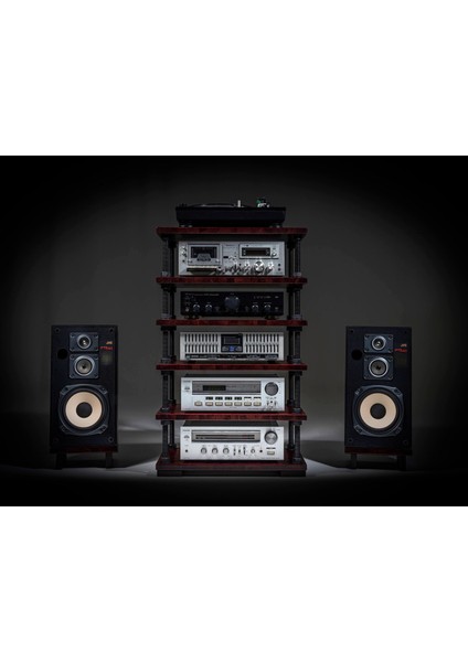 Ayarlanabilir Raflı Plak ve Pikap Standı - Hifi Stereo Kabin - Şık ve Işlevsel Ses Sistemi Rafı