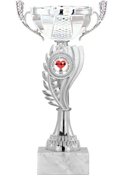 Kişiye Özel Futbol Kupası Ödül Kupası Tören Kupası 23 cm ECO-024