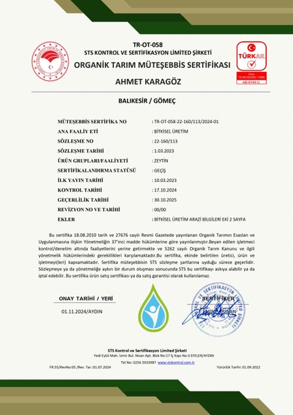 2024/25 5 LT Natürel Sızma Zeytinyağı Soğuk Sıkım Filtresiz