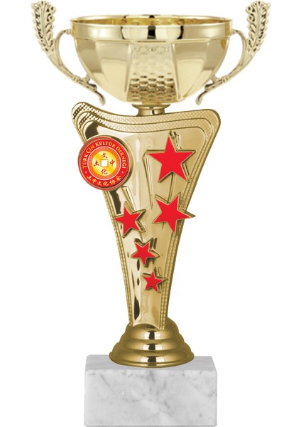Kişiye Özel Futbol Kupası Ödül Kupası Tören Kupası 22 cm ECO-030