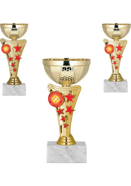 Kişiye Özel Futbol Kupa Takımı-Ödül Kupası-Turnuva Kupası-Kupa Seti 3'lü Takım ECO-029