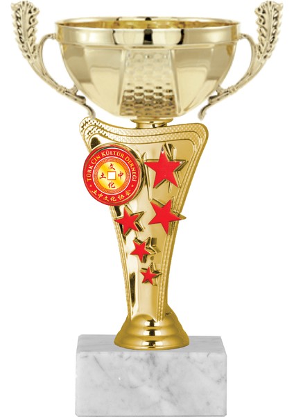 Kişiye Özel Futbol Kupası Ödül Kupası Tören Kupası 19 cm ECO-030