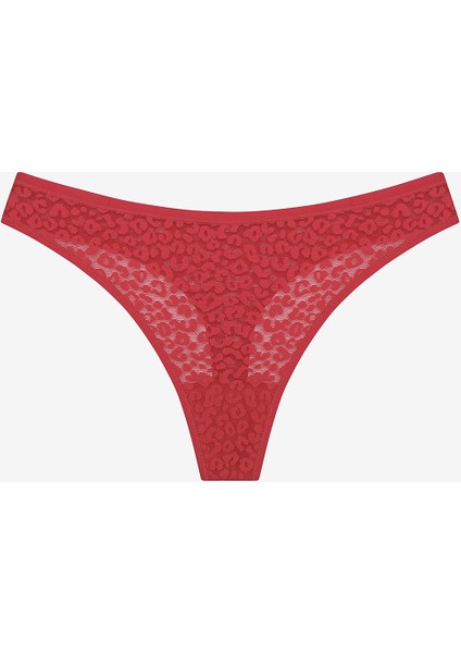Lace Dantel 3lü Çok Renkli Tanga Külot fiyatları