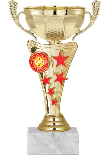 Kişiye Özel Futbol Kupası Ödül Kupası Tören Kupası 20 cm ECO-030