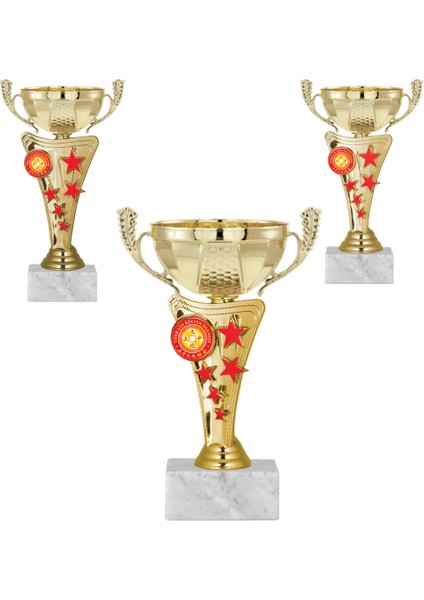 Kişiye Özel Futbol Kupa Takımı-Ödül Kupası-Turnuva Kupası-Kupa Seti 3'lü Takım ECO-030