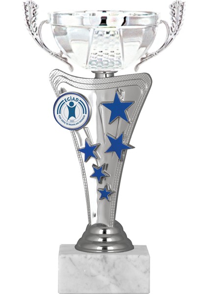 Kişiye Özel Futbol Kupası Ödül Kupası Tören Kupası 22 cm ECO-032