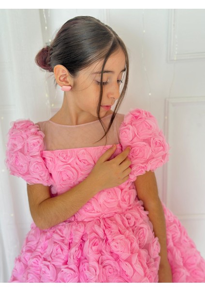 Pembe Güllü Diana Vintage Kız Bebek Elbise,doğum Günü Elbise,fotoğraf Çekim Elbise,0-12 Yaş Uygun modelleri