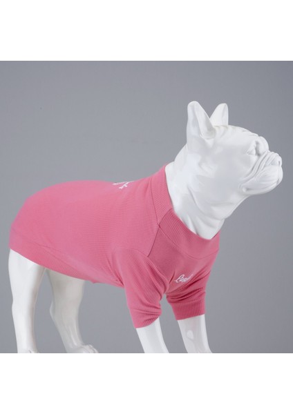 Dogs Cotton Candy Köpek Kıyafeti Tshirt Pembe Beden 4