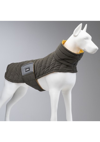 Dogs Air Puff Mango Köpek Montu Kahverengi Beden 7
