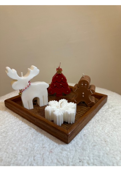 Ginger Mum Box fiyatları
