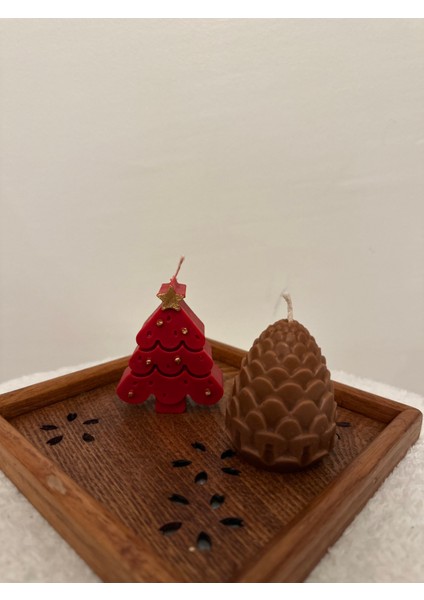 Pine Cone Mum Box