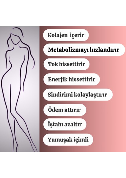 Hindiba Kahvesi Form Detox Diyet Kahve 1 Aylık Kullanım 30 x 3 gr x 4 Paket modelleri