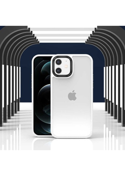 Apple iPhone 11 Yanları Renkli Silikon Parlak Arka Yüzeyli Tlp Tiger Hibrit Kapak