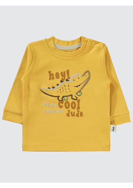 Erkek Bebek 2'li Sweatshirt 6-18 Ay Hardal fırsatları