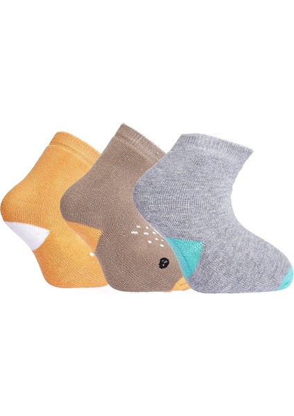 Erkek 3lü Havlu Çorap Erkek Bebek