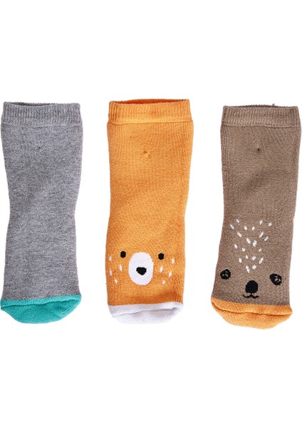 Erkek 3lü Havlu Çorap Erkek Bebek fiyatları