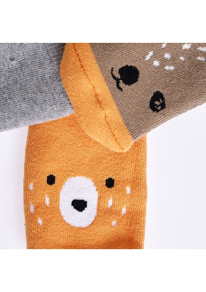 Erkek 3lü Havlu Çorap Erkek Bebek modelleri