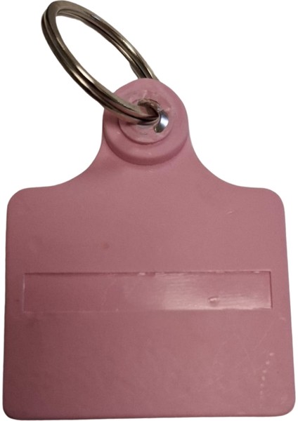 Atlar Için Küpelik (Dişi Atlar)