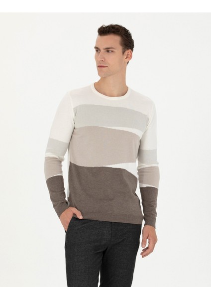 Erkek Ekru Slim Fit Bisiklet Yaka Triko Kazak 50278105-VR019