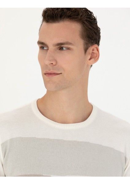 Erkek Ekru Slim Fit Bisiklet Yaka Triko Kazak 50278105-VR019 fiyatları