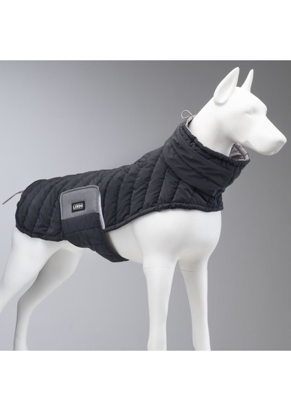 Dogs Air Puff Deep Köpek Montu Siyah Beden 7