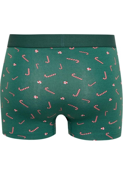 Erkek Yılbaşı Temalı Boxer E0039AX24CW fiyatları