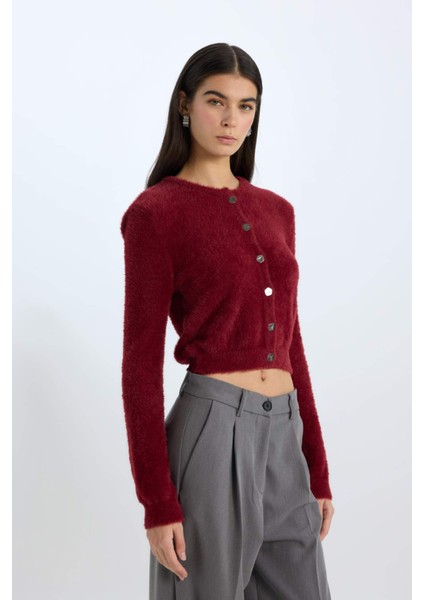 Regular Fit Bisiklet Yaka Düğmeli Triko Bordo Hırka E2428AX24WN modelleri