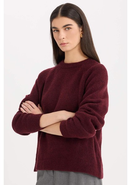 Regular Fit Bisiklet Yaka Basic Düz Triko Kazak D0035AX24WN