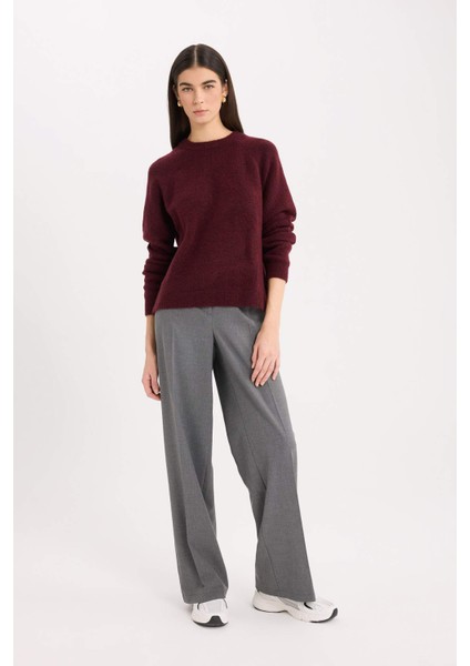 Regular Fit Bisiklet Yaka Basic Düz Triko Kazak D0035AX24WN