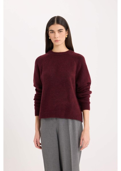 Regular Fit Bisiklet Yaka Basic Düz Triko Kazak D0035AX24WN