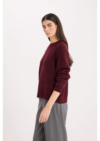 Regular Fit Bisiklet Yaka Basic Düz Triko Kazak D0035AX24WN