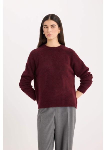 Regular Fit Bisiklet Yaka Basic Düz Triko Kazak D0035AX24WN