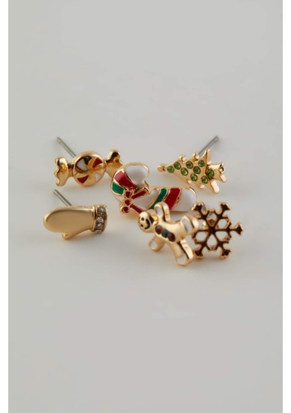 Kadın Yılbaşı Temalı 6lı KÜPE E3884AXNS fiyatları