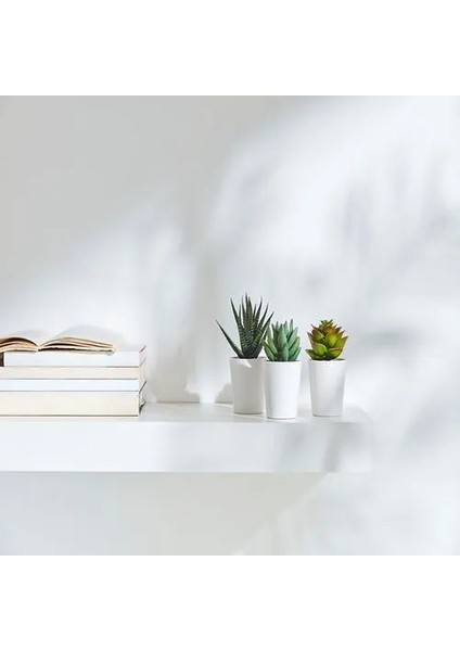 Sumuhome Fejka Saksılı Yapay Bitki Kaktüs 6 cm 3 Adet indirimleri
