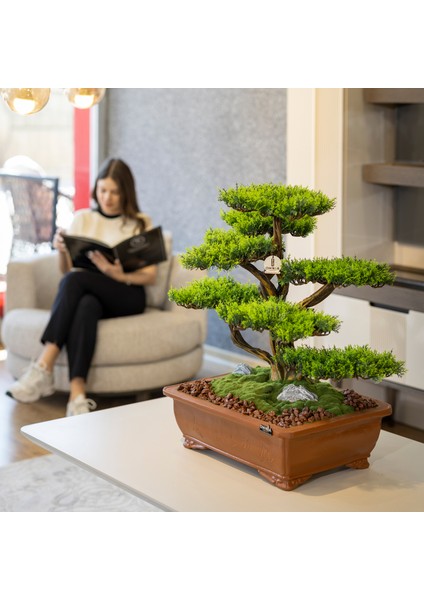Atlas Bonsai-1 Masaüstü Kullanıma Uygun Doğal Ağaç Gövdeli Yapay Bonsai Ağacı - 50X60 cm fiyatları