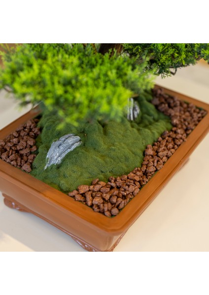 Atlas Bonsai-1 Masaüstü Kullanıma Uygun Doğal Ağaç Gövdeli Yapay Bonsai Ağacı - 50X60 cm modelleri