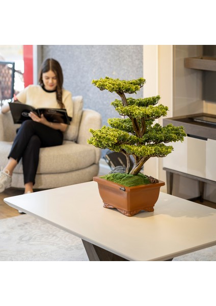 Flora Bonsai-5 Masaüstü Kullanıma Uygun Doğal Ağaç Gövdeli Yapay Bonsai Ağacı - 40X50 cm fiyatları