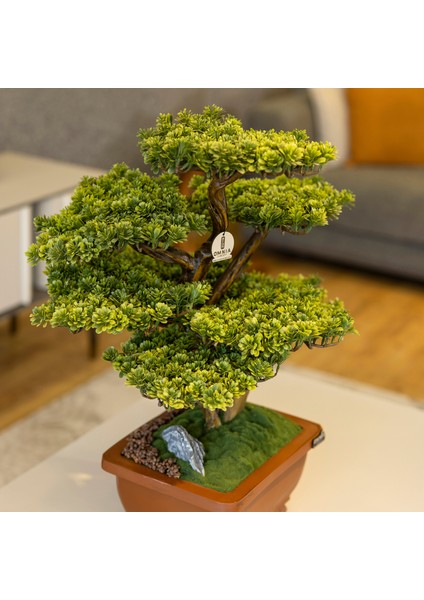 Flora Bonsai-5 Masaüstü Kullanıma Uygun Doğal Ağaç Gövdeli Yapay Bonsai Ağacı - 40X50 cm modelleri