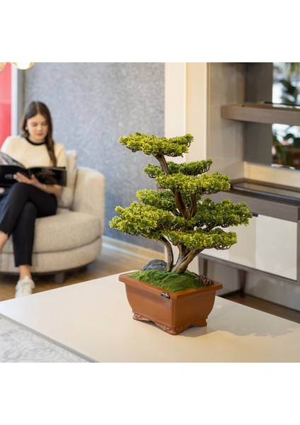 Flora Bonsai-5 Masaüstü Kullanıma Uygun Doğal Ağaç Gövdeli Yapay Bonsai Ağacı - 40X50 cm fırsatları