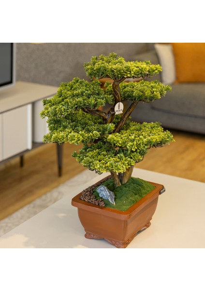 Flora Bonsai-5 Masaüstü Kullanıma Uygun Doğal Ağaç Gövdeli Yapay Bonsai Ağacı - 40X50 cm indirimleri
