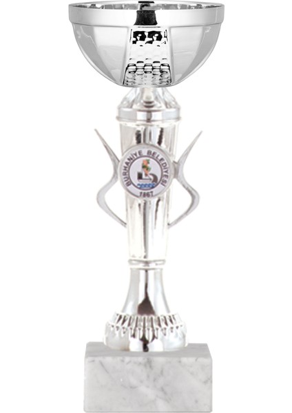 Kişiye Özel Futbol Kupası Ödül Kupası Tören Kupası 21 cm ECO-033