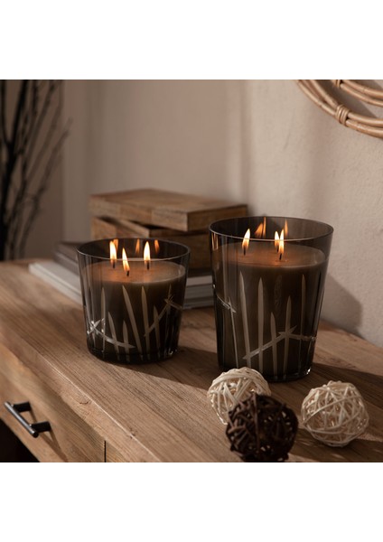 Pea Cam Mumluk L Antrasit fiyatları