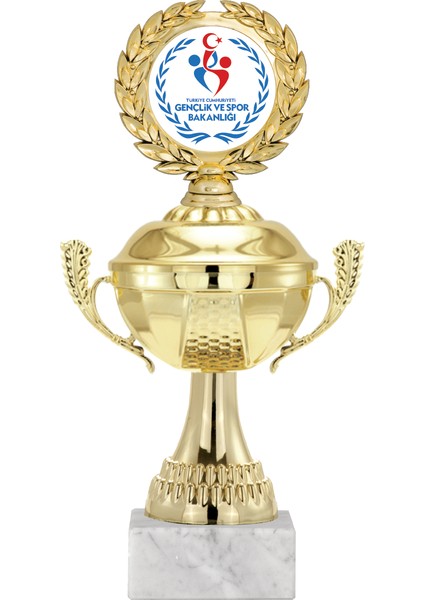 Kişiye Özel Futbol Kupası Ödül Kupası Tören Kupası 24 cm ECO-038