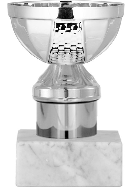 Kişiye Özel Futbol Kupası Ödül Kupası Tören Kupası 12 cm ECO-043