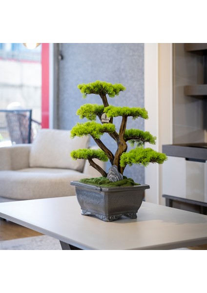 Flora Bonsai-6 Masaüstü Kullanıma Uygun Doğal Ağaç Gövdeli Yapay Bonsai Ağacı - 40X50 cm